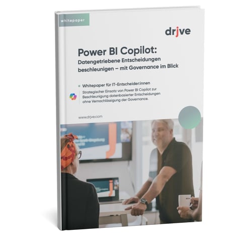 LP Whitepaper Co Pilot - drjve AG